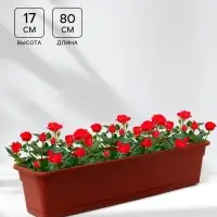 Ящик балконный для цветов, 16 л, 80&times;20&times;17 см, пластиковый, цвет терракот