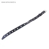 Ошейник кожаный тисненый на фетре, 54&times;2.5 см, безразмерный, микс цветов