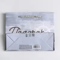 Пакет подарочный ламинированный, упаковка, Present for you, S 15&times;12&times;5.5 см