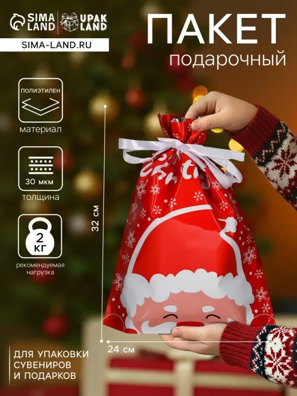 Пакет подарочный новогодний с завязками, &laquo;Дед Мороз&raquo;, 24&times;32 см