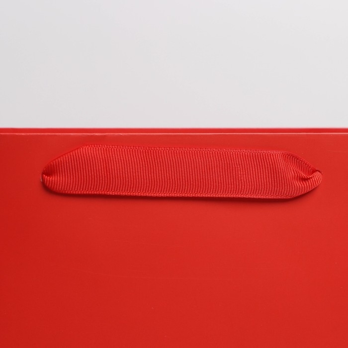 Пакет подарочный ламинированный, упаковка, «Красный», M 26 х 30 х 9 см