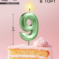 Свеча в торт на шпажке &laquo;Цифра 9&raquo;, зеленая, 5 см