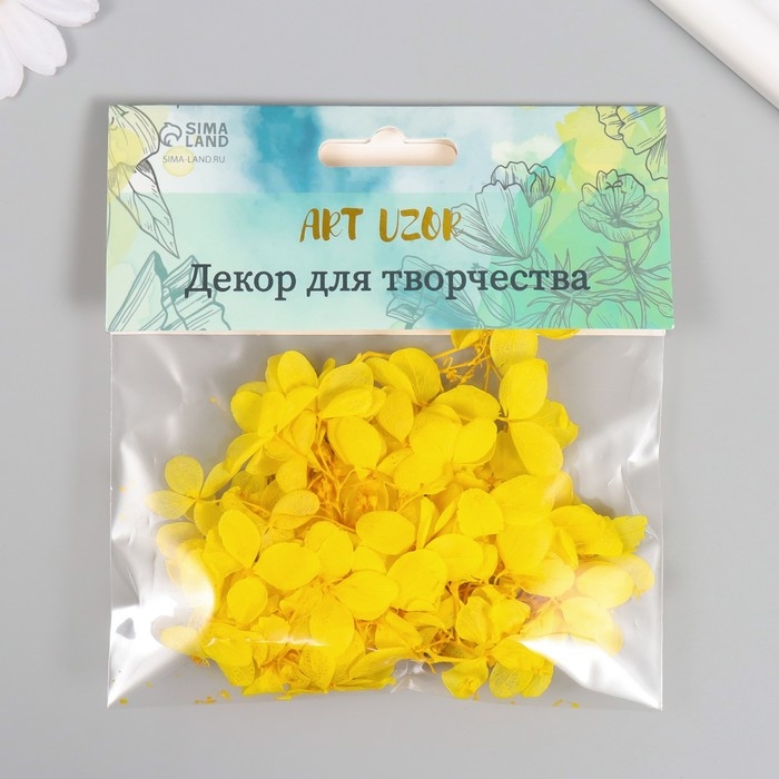 Сухоцвет Сухоцвет "Гортензия" жёлтый h=6-6,5 см