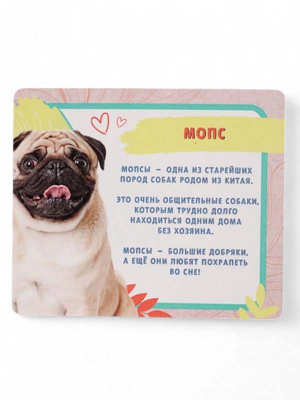 HAPPY VALLEY Игрушка-сюрприз  HAPPY VALLEY Игрушка-сюрприз "Домашние питомцы", собаки