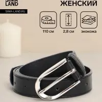 Ремень женский, 110&times;2.8 см, овальная пряжка металл, серебристая, чёрный