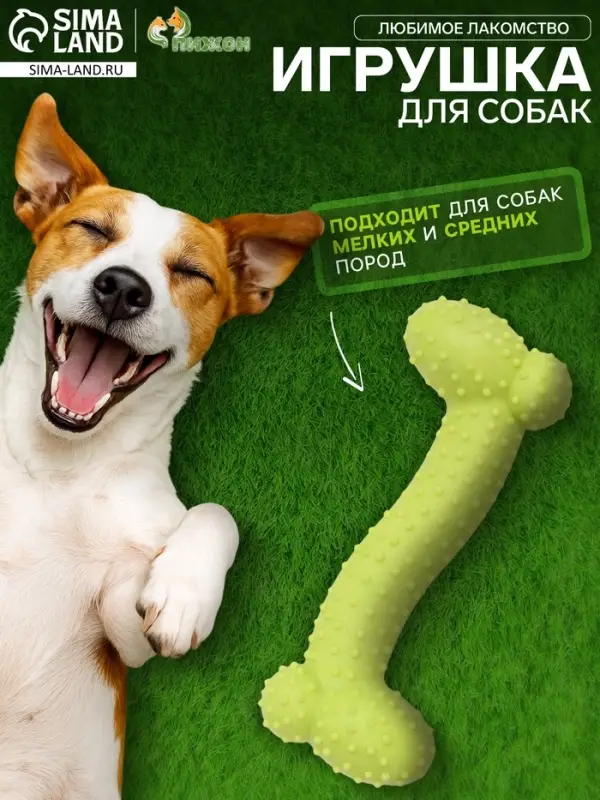 Жевательная игрушка для собак &laquo;Любимое лакомство&raquo;, 11&times;4 см, TPR, салатовая