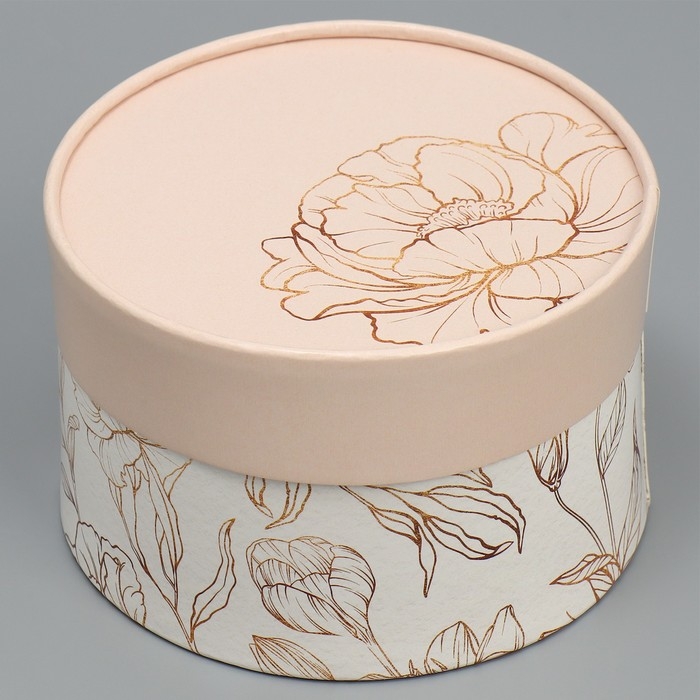 Набор шляпных коробок 2 в 1, упаковка подарочная, «Нежность», 16 х 11.5, 13 х 9 см Набор шляпных коробок 2 в 1, упаковка подарочная, «Нежность», 16 х 11.5, 13 х 9 см