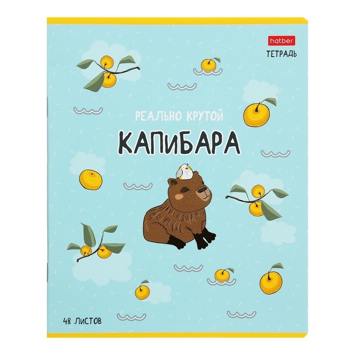 Тетрадь 48 листов в клетку  Тетрадь 48 листов в клетку "Реально крутой Капибара", обложка мелованный картон, блок 65 г/м2, 5В МИКС