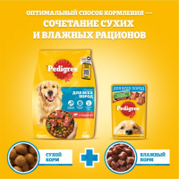 Сухой корм Pedigree для собак всех пород, говядина, 13 кг