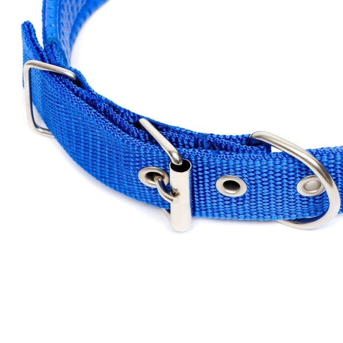 Ошейник Ошейник "Комфорт" комбинированный, 58 х 3 см, ОШ 45-52 см, синий