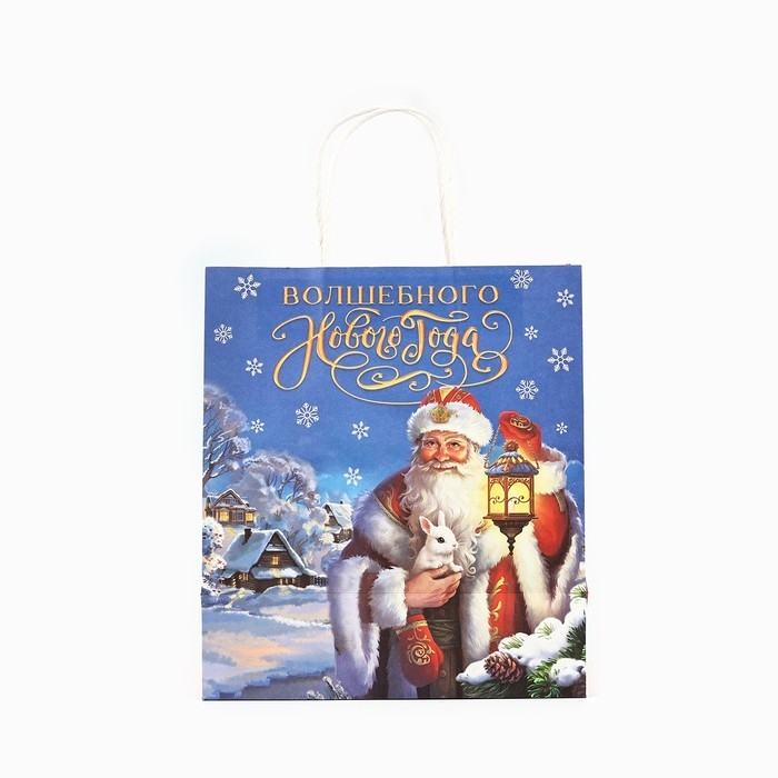 Пакет подарочный новогодний крафтовый «Яркого нового года», 22 х 12 х 25 см , Новый год Пакет подарочный новогодний крафтовый «Яркого нового года», 22 х 12 х 25 см , Новый год