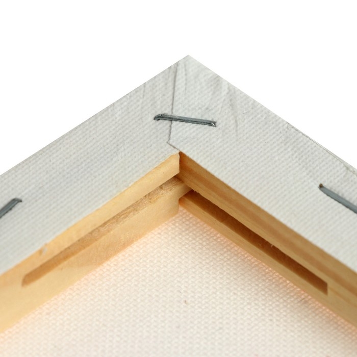 Холст на подрамнике, хлопок 100%, 18 х 24 х 1.8 см, акриловый грунт, мелкозернистый, 280 г/м² Холст на подрамнике, хлопок 100%, 18 х 24 х 1.8 см, акриловый грунт, мелкозернистый, 280 г/м²