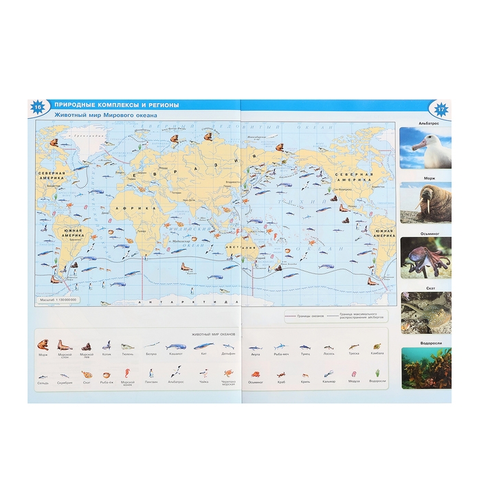 География «Атлас 7 класс»