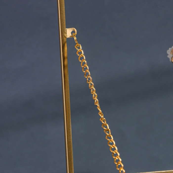 Органайзер для хранения «MOUNTAINS», с крышкой, стеклянный, с зеркальным дном, 1 секция, 20 × 16 × 6,5 см, цвет прозрачный/медный