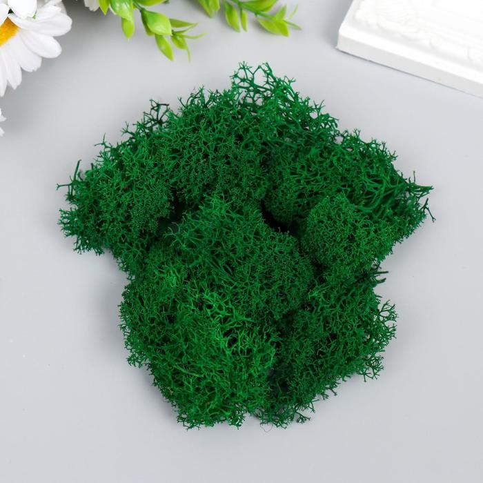 Мох стабилизированный Мох стабилизированный "Ярко-зелёный" 45 гр (+-5 гр)