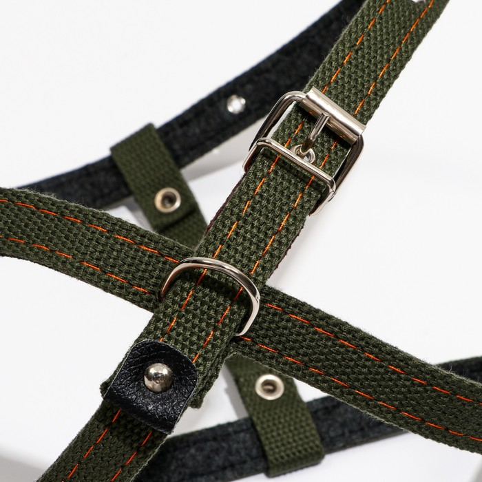 Шлейка брезентовая на фетре, восьмерка, регулируемая,2 см,ОШ 36-56см,ОГ 54-62 см, т. зелёная Шлейка брезентовая на фетре, восьмерка, регулируемая,2 см,ОШ 36-56см,ОГ 54-62 см, т. зелёная