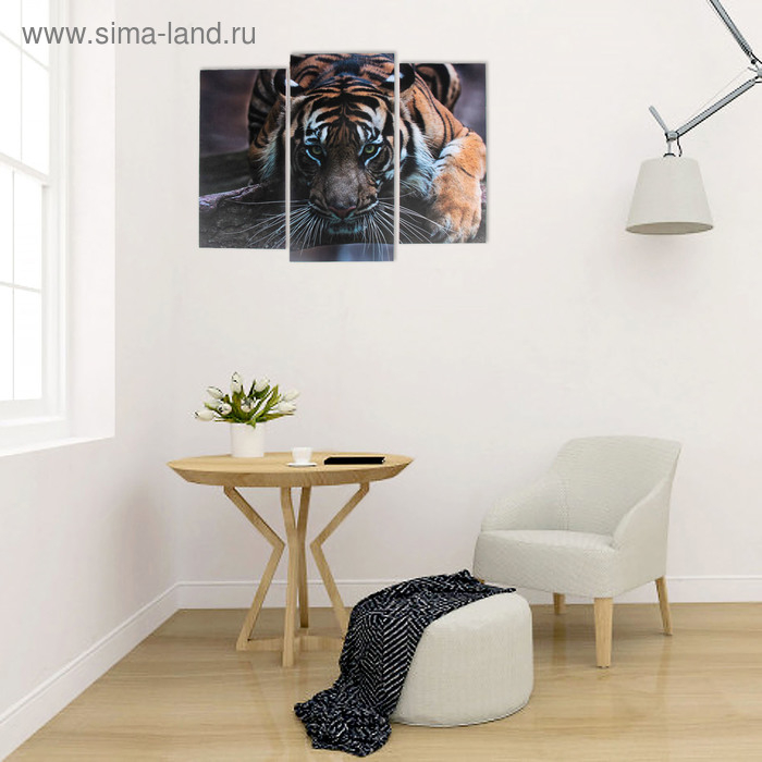 Модульная картина  Модульная картина "Тигровый взгляд"  (2-25х52; 1-30х60) 60х80 см