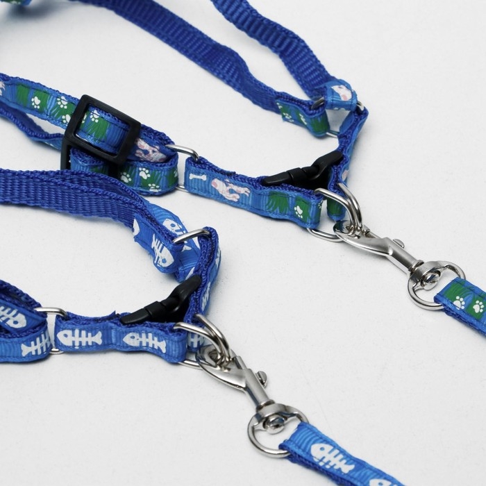 Комплект  Комплект "Цветные следы", ширина 1 см, поводок 120 см, шлейка 23-35 см, синий