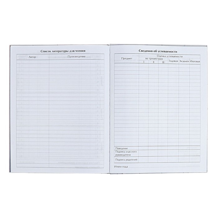 Дневник универсальный для 1-11 классов Дневник универсальный для 1-11 классов "Аниме. Парень и небо", твёрдая обложка, глянцевая ламинация, 40 листов