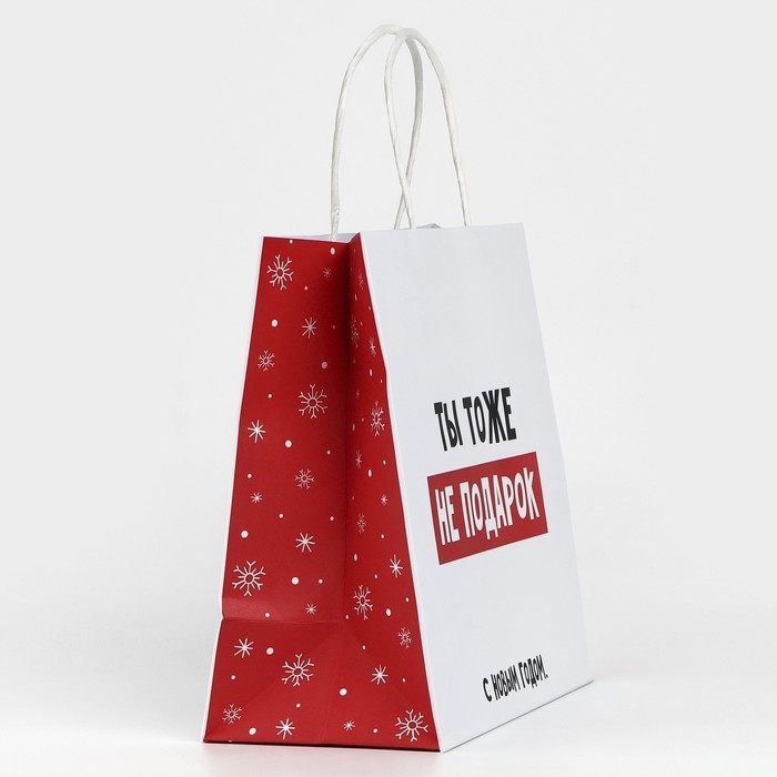 Пакет подарочный новогодний «Ты тоже не подарок», 22 х 22 х 11 см Пакет подарочный новогодний «Ты тоже не подарок», 22 х 22 х 11 см