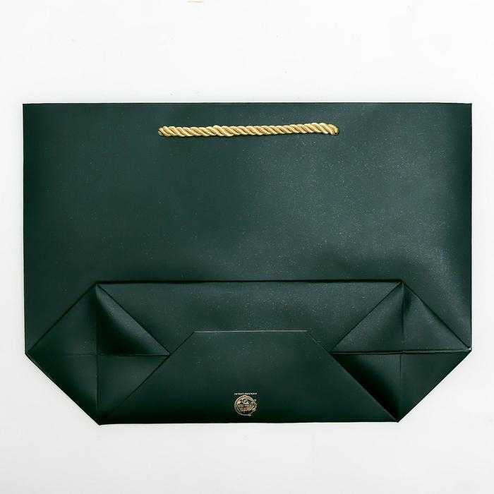 Пакет подарочный, упаковка, Present for you, 19 х 20 х 9 см Пакет подарочный, упаковка, Present for you, 19 х 20 х 9 см