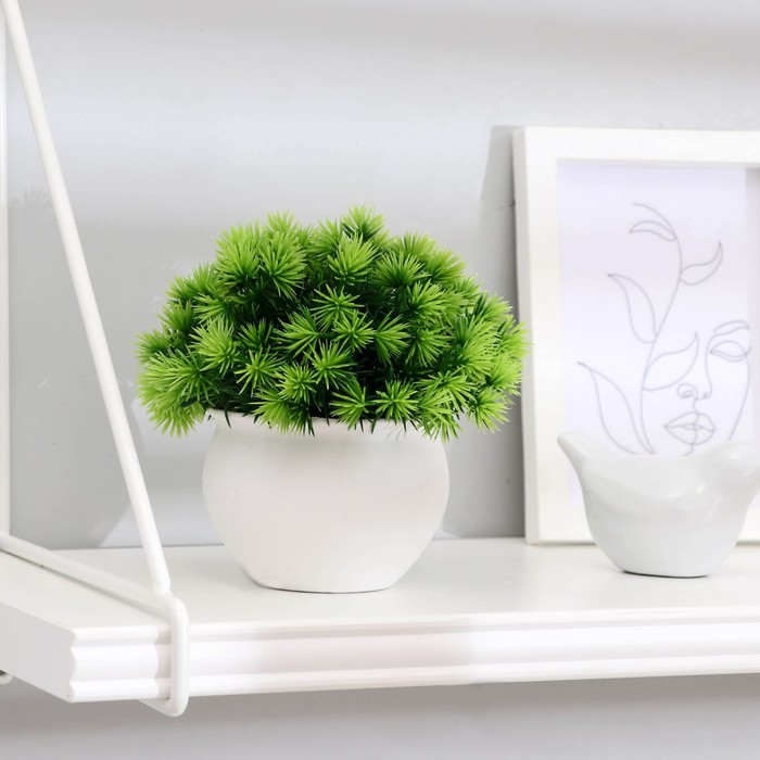 Бонсай в горшке Бонсай в горшке "Пушистые колючки" 9х13 см, микс