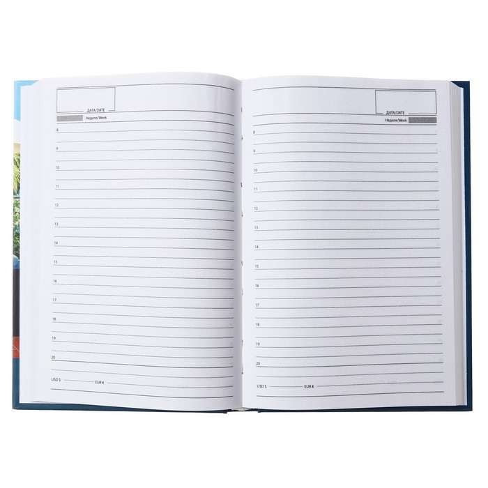 Ежедневник недатированный на сшивке А5 160 листов, картон 7БЦ, матовая ламинация, выборочный лак Ежедневник недатированный на сшивке А5 160 листов, картон 7БЦ, матовая ламинация, выборочный лак "Красочные моменты"