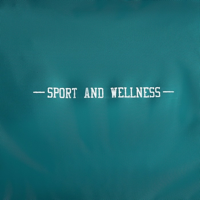 Сумка спорт "Sport and wellness", 40*24*21, отд на молнии, зеленый