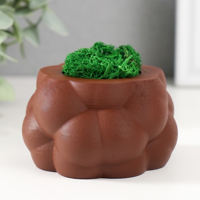 Кашпо бетонное Кашпо бетонное "Пузырьки" со мхом коричневый 8х8х5см (мох зеленый стабилизированный)
