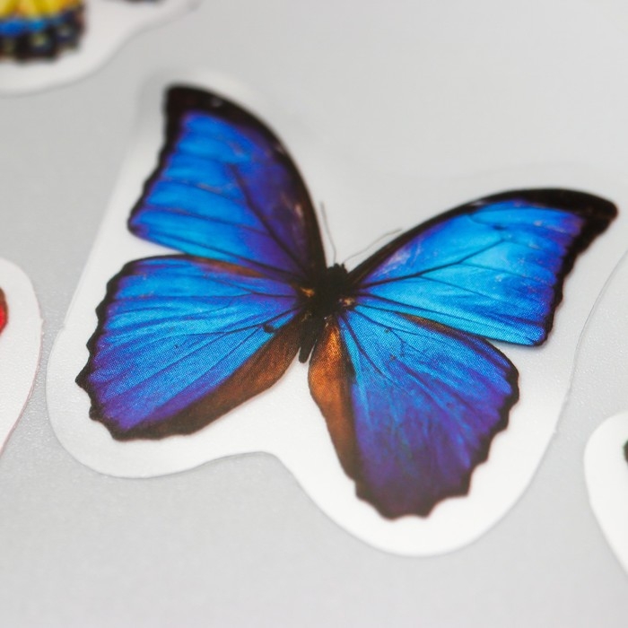 Наклейки для творчества "Бабочки в банке" набор 35 шт 13,3х9,2 см