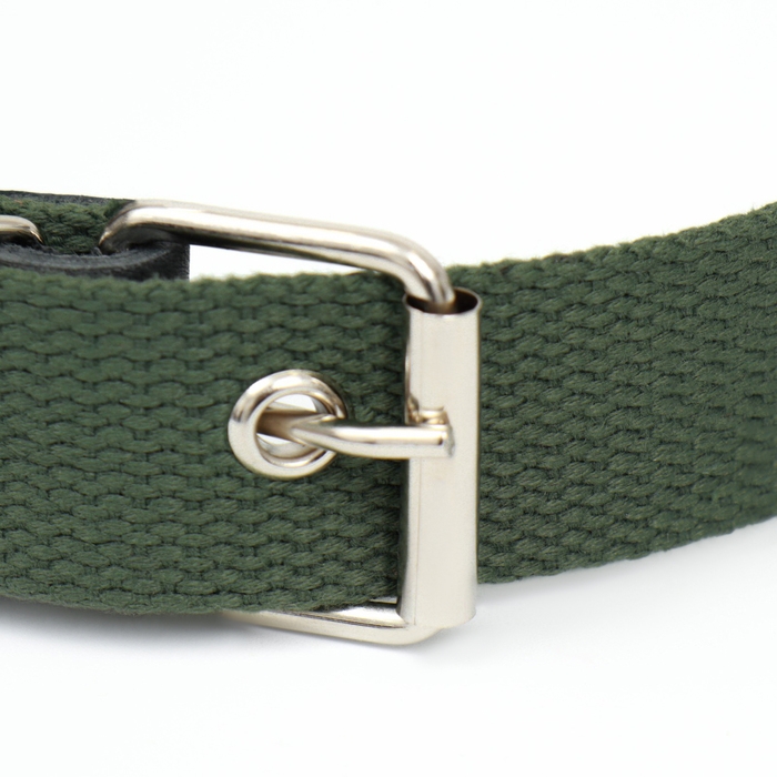 Ошейник брезентовый однослойный, 66 х 3 см, ОШ 33-60 см, тёмно-зелёный Ошейник брезентовый однослойный, 66 х 3 см, ОШ 33-60 см, тёмно-зелёный