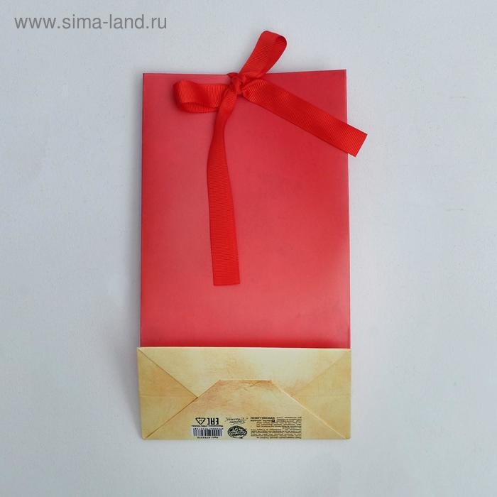 Пакет подарочный с лентой, упаковка, «Present», 13 х 23 х 7 см Пакет подарочный с лентой, упаковка, «Present», 13 х 23 х 7 см