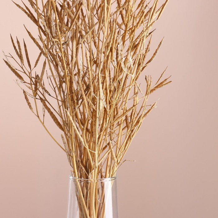 Набор сухоцветов "Горчица" банч длина 60 (+/- 6 см), натуральный