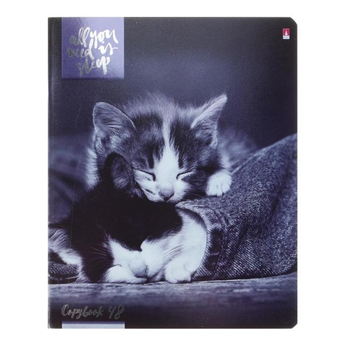 Тетрадь 48 листов в клетку "Котята мур-мур", обложка мелованный картон, гибридный лак, фольга, МИКС