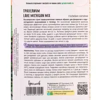 Семена цветов Трахелиум Lake Michigan Mix 4 м.др.  12.29 г.