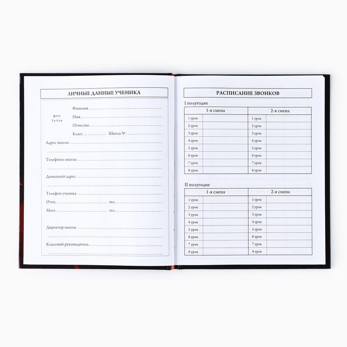 Дневник школьный для 1-11 класса, в твердой обложке, 40 л. «Динозавр» Дневник школьный для 1-11 класса, в твердой обложке, 40 л. «Динозавр»