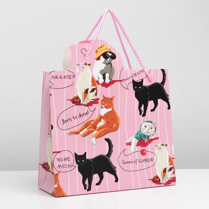 Пакет подарочный, упаковка, «Girl PWR», 25 х 26 х 10 см Пакет подарочный, упаковка, «Girl PWR», 25 х 26 х 10 см