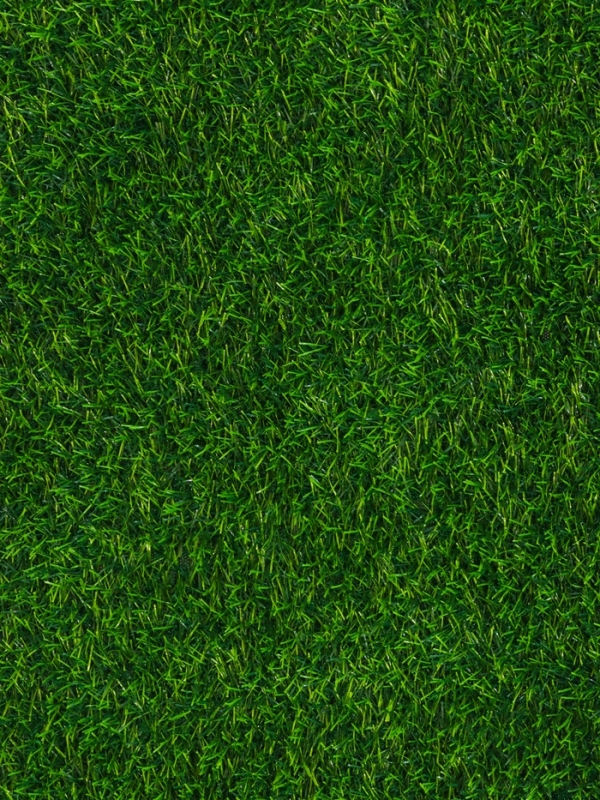 Газон искусственный,  с проклейкой, высота 3см, 12иг, 2 х 25м, зеленый, "Greengo"