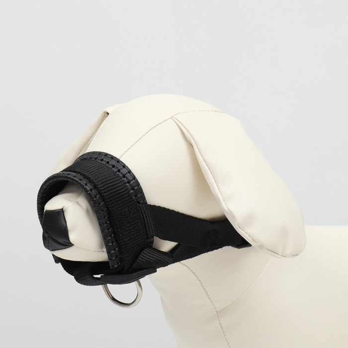 Недоуздок-намордник для собак с подкладом, размер M, ОM 15-26 см, ОШ 13-20 см, черный Недоуздок-намордник для собак с подкладом, размер M, ОM 15-26 см, ОШ 13-20 см, черный