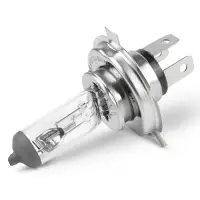 Галогенная лампа AVS Vegas H19.12V.60/55W.1шт.