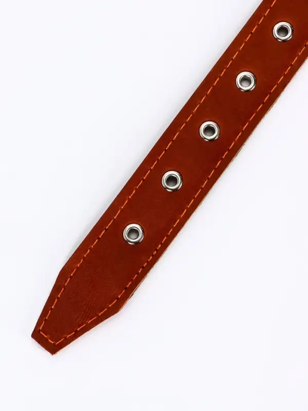 Ошейник комбинированный, безразмерный, 65&times;3.5 см, ОШ 31-61 см, кожа, брезент, коричневый
