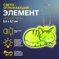Светоотражающий элемент «Кошечка», двусторонний, 5.5×3.7 см, МИКС
