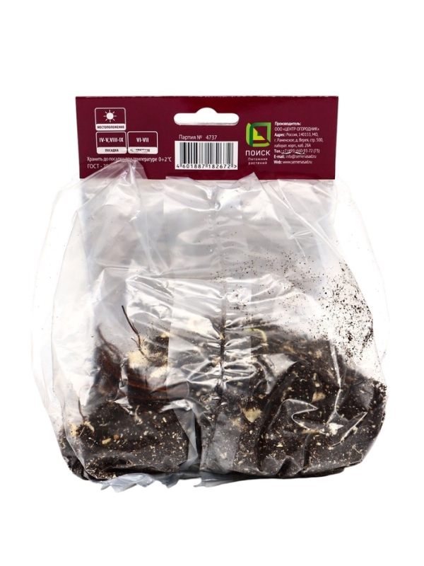 Купальница китайская, р-р I, 1 шт, Весна 2025