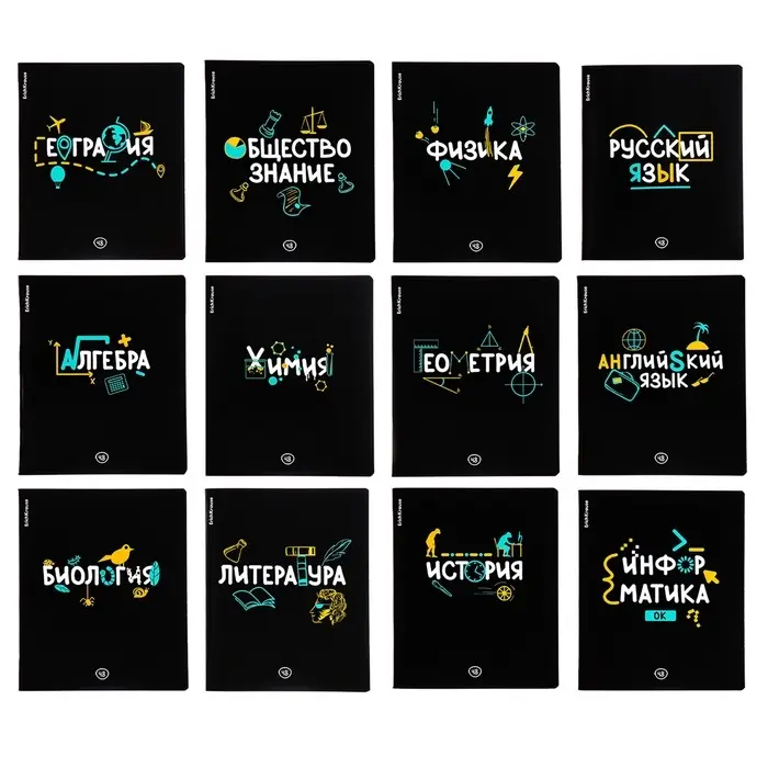 Набор предметных тетрадей ErichKrause. Inscription, 12 предметов, 48 листов, со справочным материалом, обложка из мелованного картона