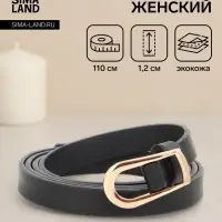 Ремень женский тонкий, 110&times;1.2 см, пряжка металл, золотистая, чёрный