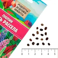 Семена цветов Люпин "Смесь Рассела", 0,5 г