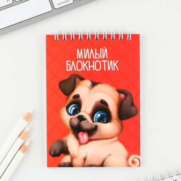 МИКС блокнотов А6, 40 л на гребне, мягкая обложка «Зверюшки» МИКС блокнотов А6, 40 л на гребне, мягкая обложка «Зверюшки»