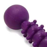 Жевательная игрушка для собак &laquo;Спортсмен&raquo;, 15.5 см, TPR, фиолетовая