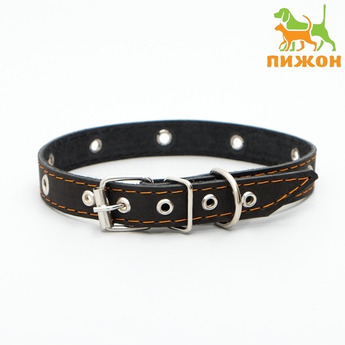 Ошейник кожаный однослойный с рифлеными люверсами, безразмерный, 50 х 2 см,ОШ 36-44 см,чёрный Ошейник кожаный однослойный с рифлеными люверсами, безразмерный, 50 х 2 см,ОШ 36-44 см,чёрный