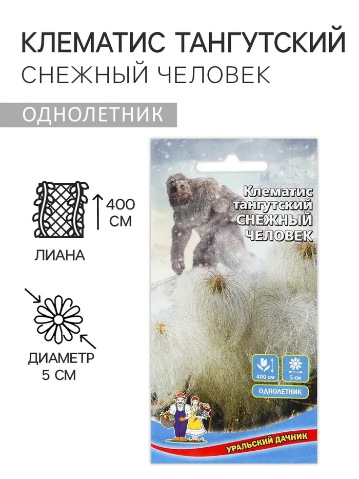 Семена Цветов Клематис тангутский "Снежный человек"  ,10 шт  ,